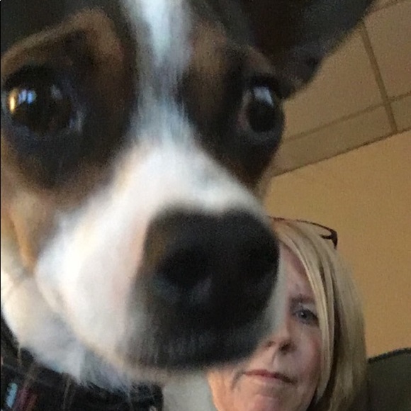jecarrroll